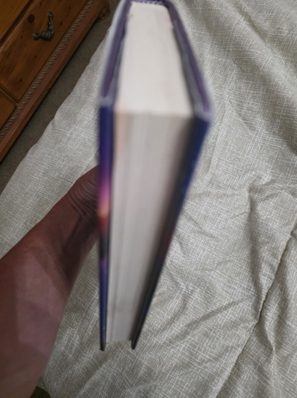 Warriors: Dawn by Erin Hunter - Purple & Blue Cover - Picture 2 of 2